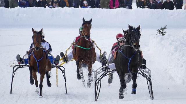发是多重的 发是多重的