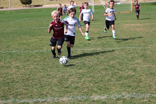 背后的动机 背后的动机