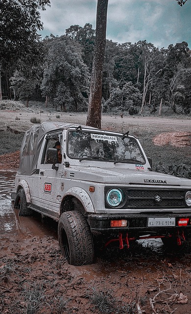 阵中的顶级 阵中的顶级