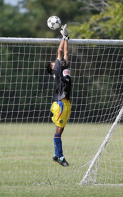 曼联与费内 曼联与费内