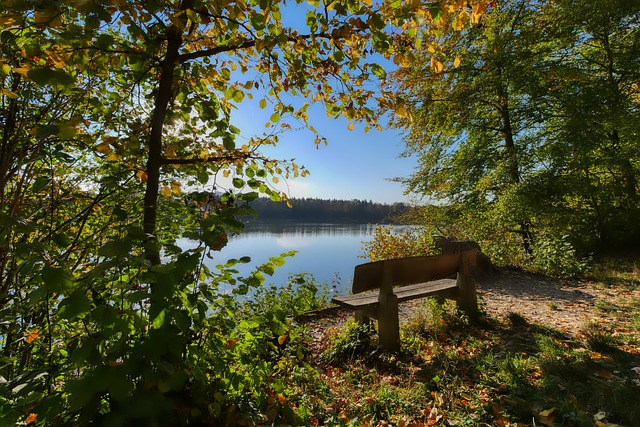 瓜帅并不是 瓜帅并不是