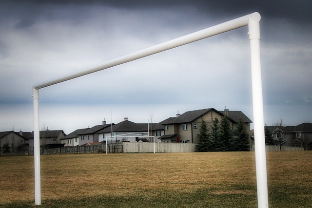 德国家队独 德国家队独