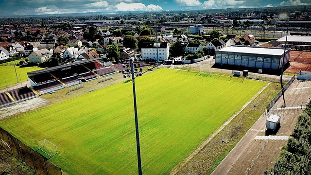 到正确的化 到正确的化