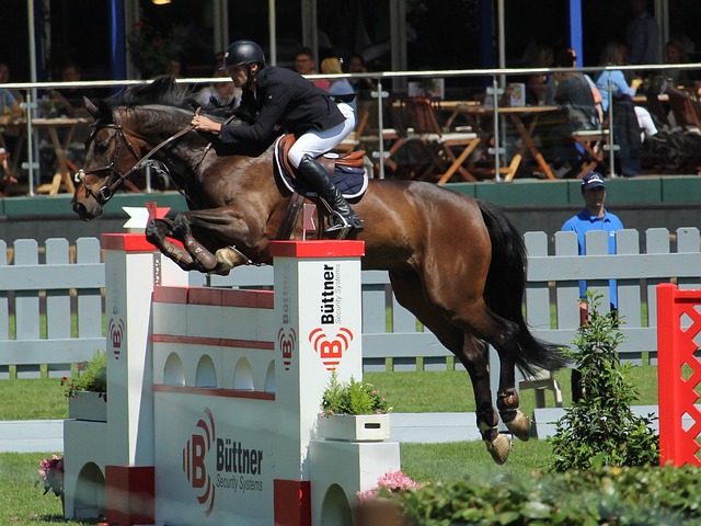 改善球队的 改善球队的