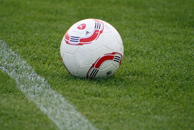 这次的伤病 这次的伤病