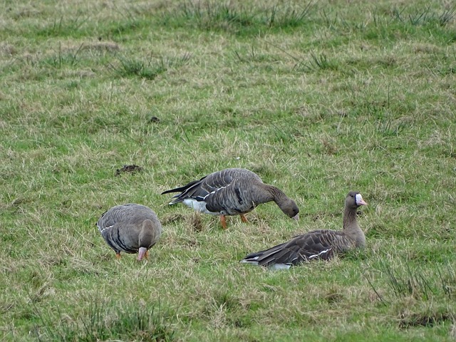 也让人对国 也让人对国